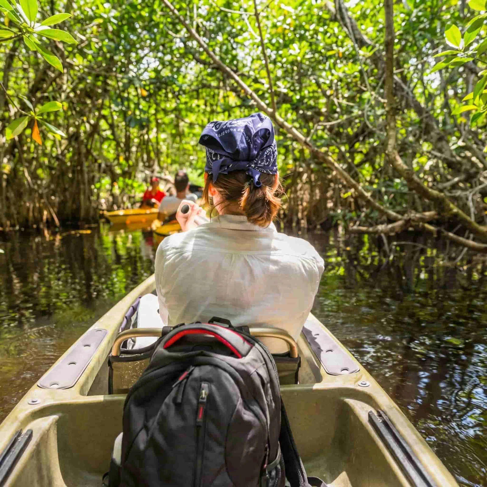 Paseo en kayak por los manglares de Manialtepec