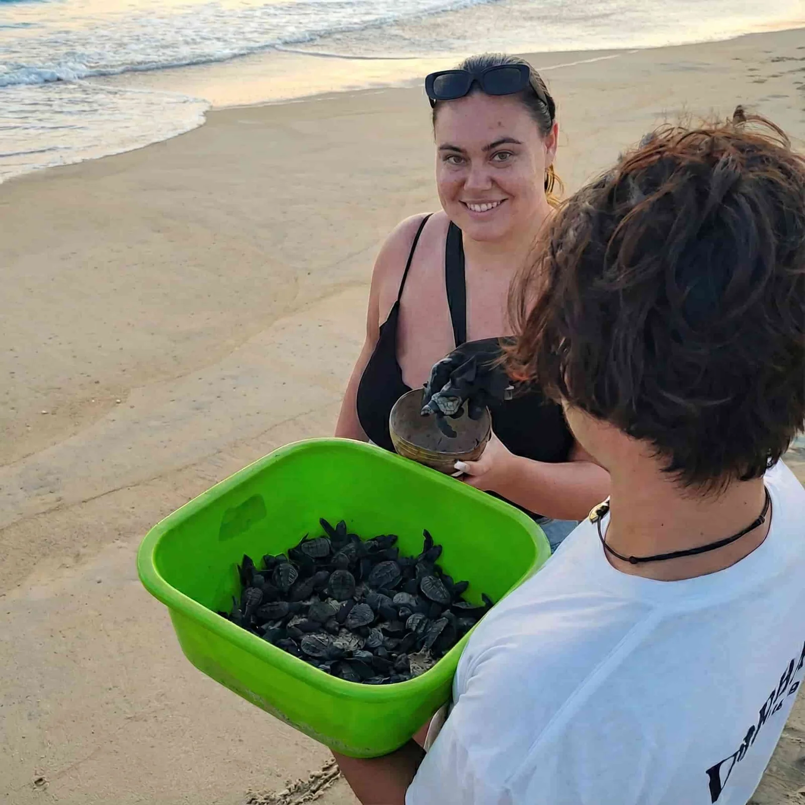 Tina llena de tortugas recién nacidas en la playa de La Escobilla